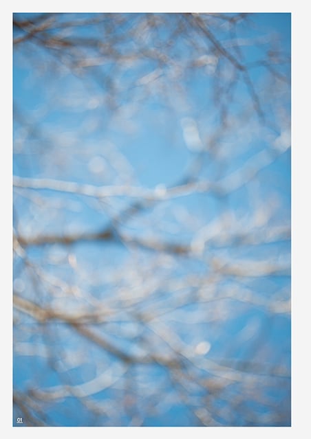 Myopia & Presbyopia, Yuya Ozaki ZIN